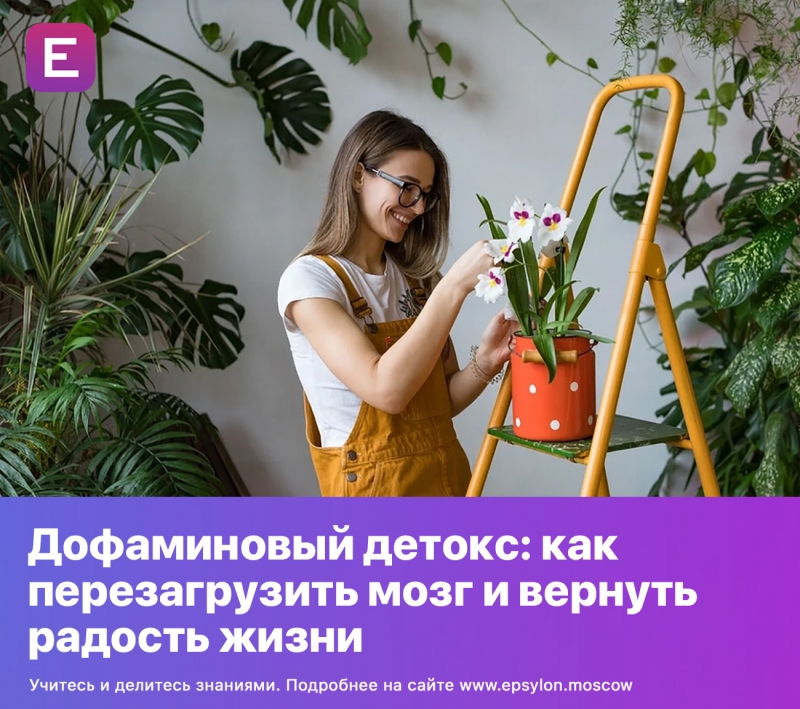 Дофаминовый детокс: как перезагрузить мозг и вернуть радость жизни Дофаминовый детокс: как перезагрузить мозг и вернуть радость жизни