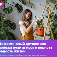 Дофаминовый детокс: как перезагрузить мозг и вернуть радость жизни