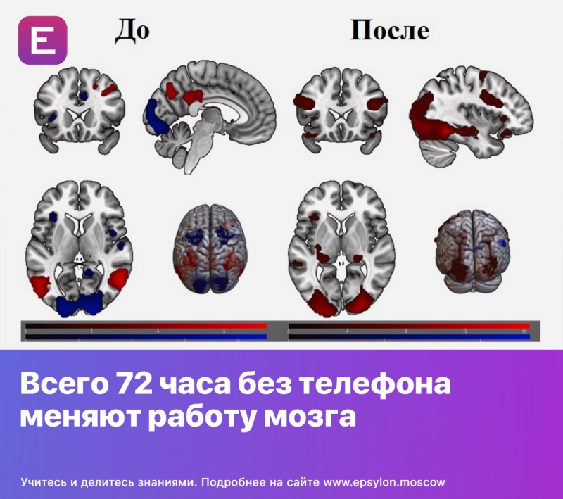 Всего 72 часа без телефона меняют работу мозга