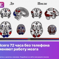 Всего 72 часа без телефона меняют работу мозга