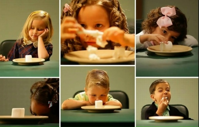 Воля и мотивация: почему мы не делаем то, что нужно, и как всё-таки заставить себя?