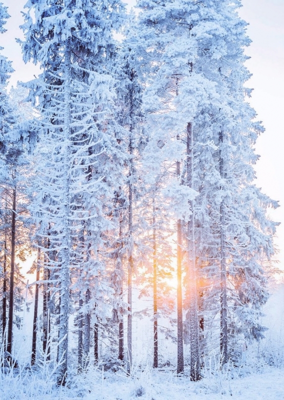 Список критериев взрослости сознания