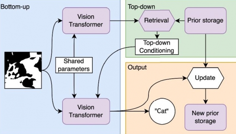 Нейробиологи и врачи обнаружили механизм работы мозга