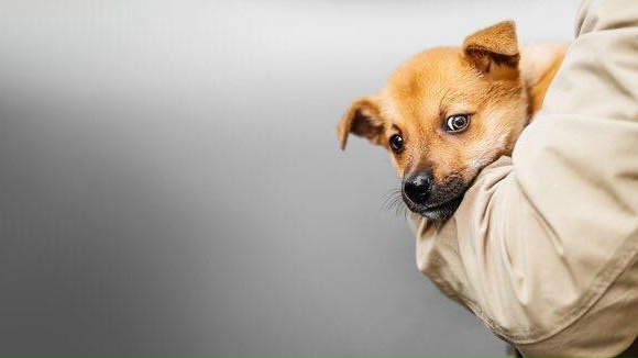 Когда появилась причина ЖИТЬ