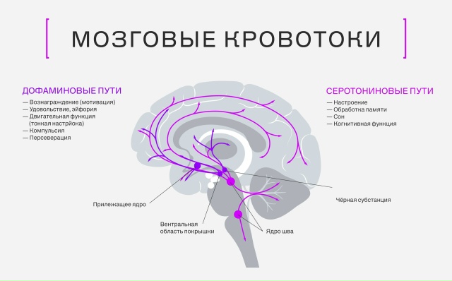 ​Очень частый запрос от клиентов, который так или иначе повторяется в десятках вариаций