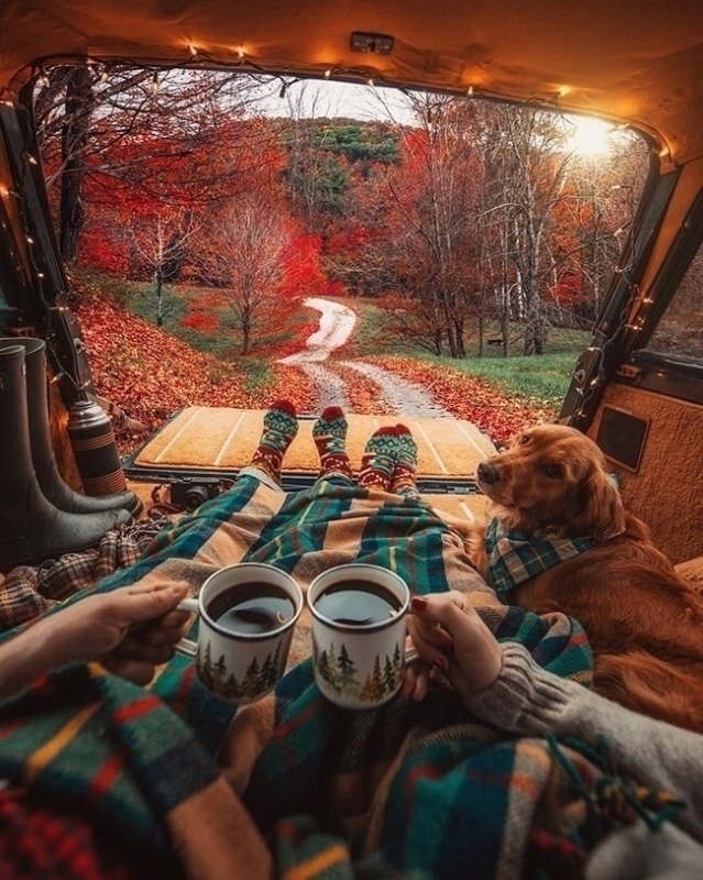 Дайте себе передышку быть собой