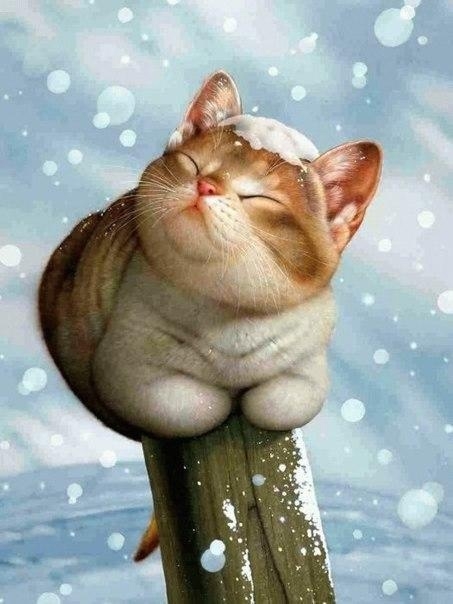 Лучшие способы самомотивации