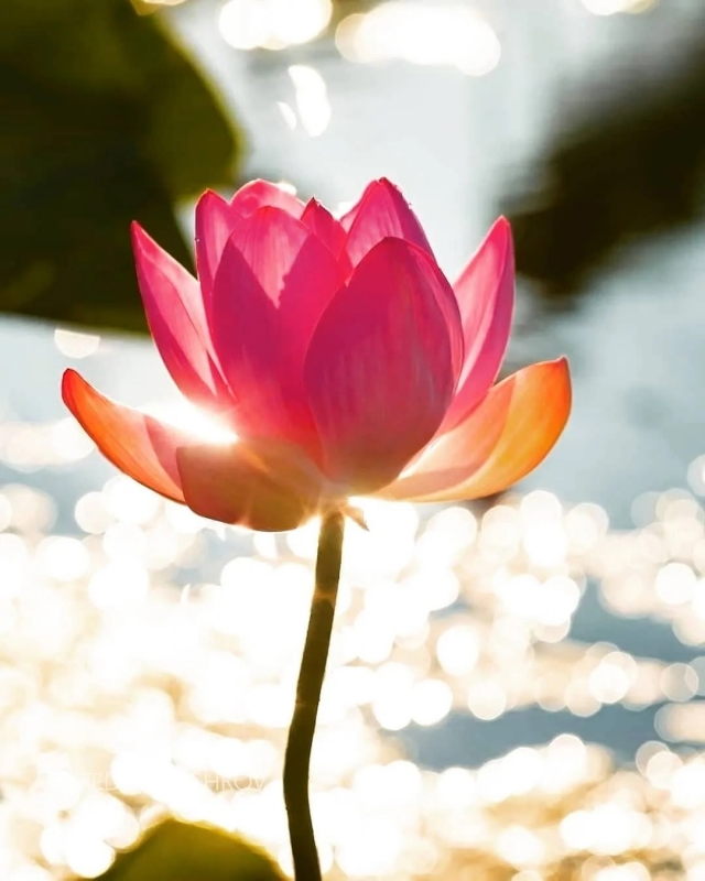 20 мудрых советов Михаила Литвака 20 мудрых советов Михаила Литвака