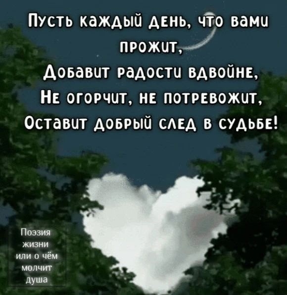 Так выглядит счастье