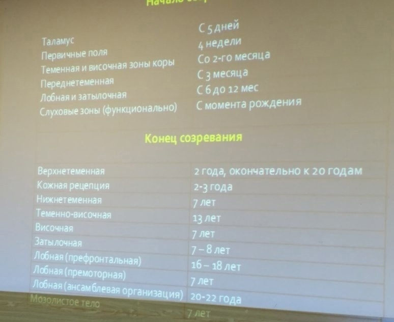 Как любовь формирует мозг ребенка Как любовь формирует мозг ребенка