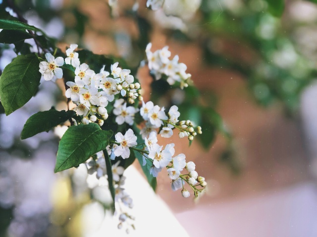 Мы обсуждали с вами, чего не стоит говорить человеку в горе Мы обсуждали с вами, чего не стоит говорить человеку в горе