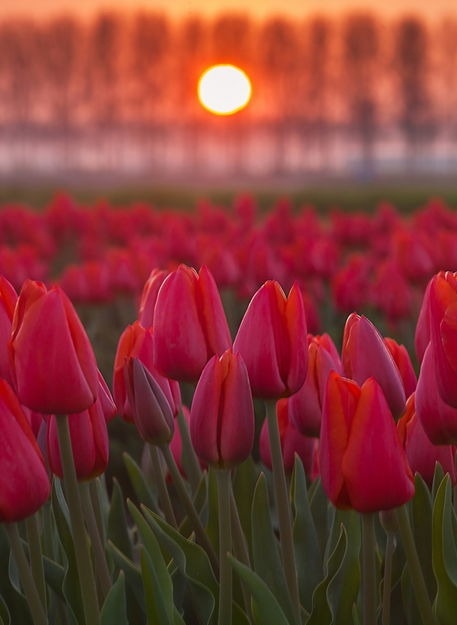 Когда мне трудно, больно, тяжело… я часто вижу себя ЕЁ глазами