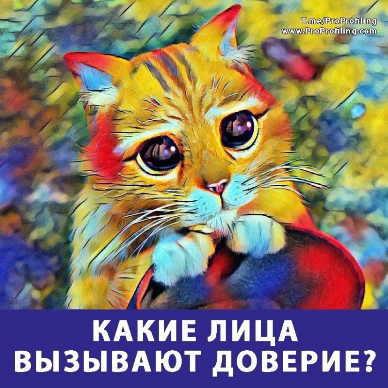 Какие лица вызывают доверие?