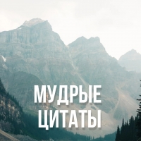 Мудрые цитаты