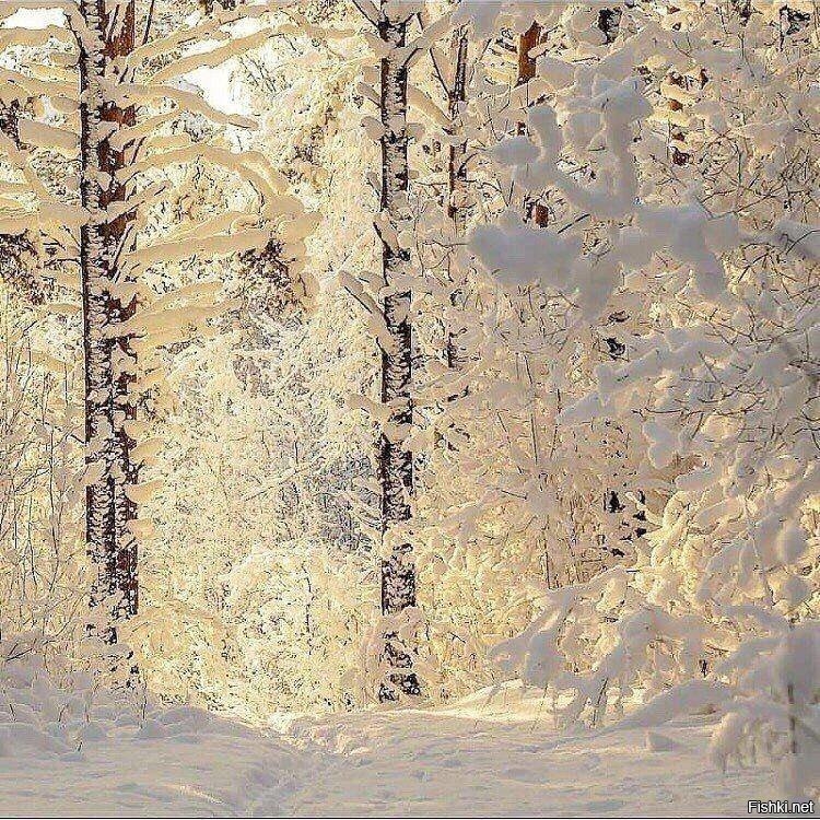 Дочери холодных матерей. Выбор не тех мужчин