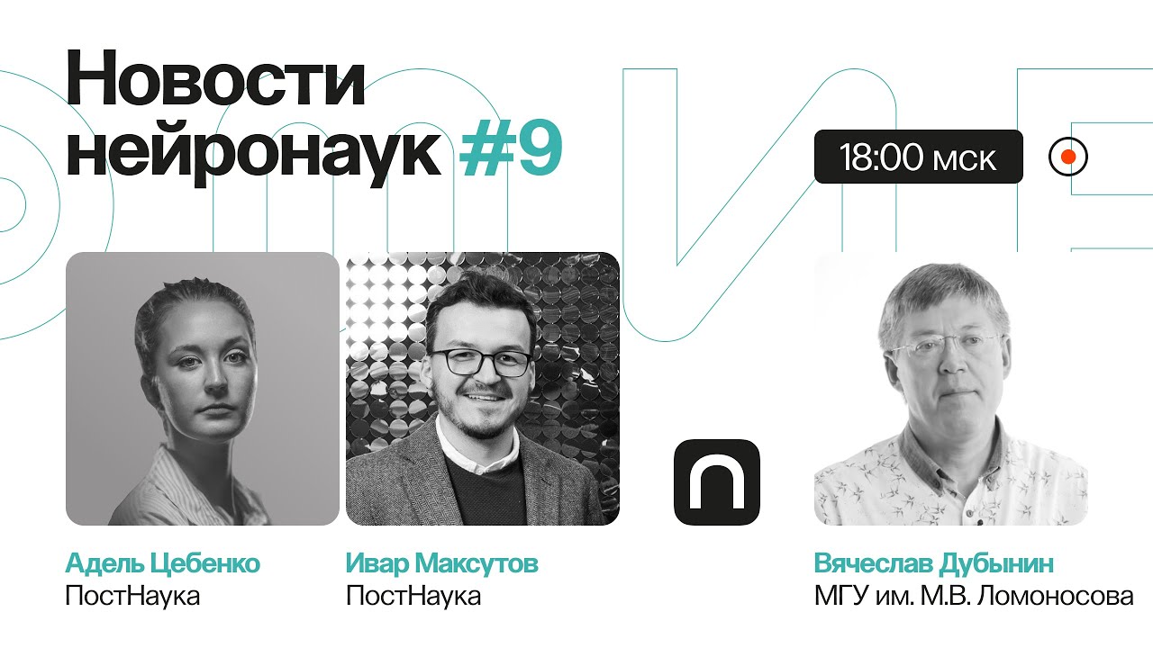 Новости нейронауки #9: как мозг воспринимает одиночество и почему дофамин усиливает стресс