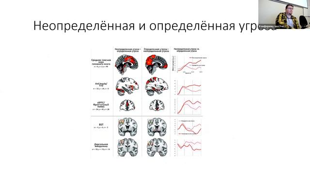 Нейробиология ОКР