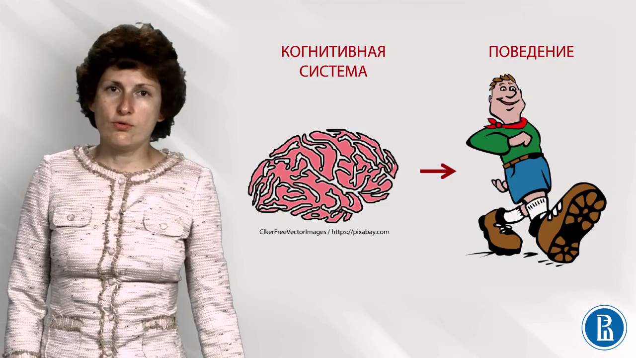 Социальная психология. Лекция 1.2. Теоретические подходы