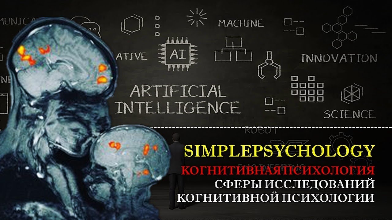 Когнитивная психология #2. Сферы изучения когнитивной психологии