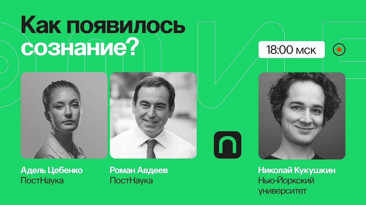 В своем уме: как сформировались мышление, память, разум? / Николай Кукушкин на ПостНауке