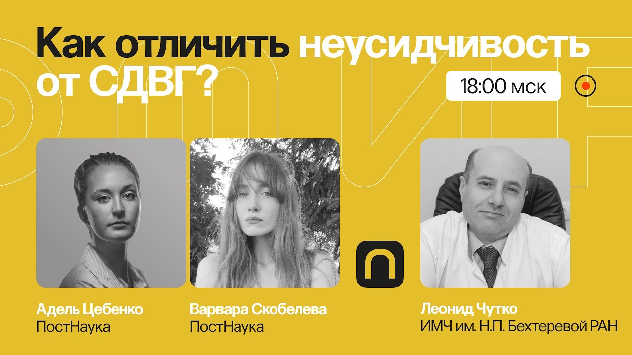 Ни минуты покоя: как отличить лень и невнимательность от СДВГ? / Леонид Чутко на ПостНауке